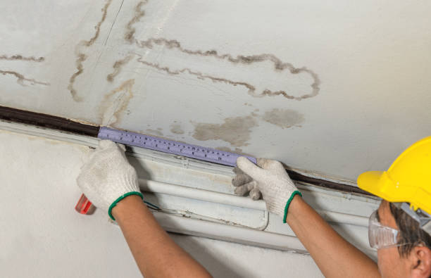 Reliable Mold Remediation contractor in Marine City, MI by Local Water Damage Repair